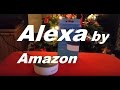 Amazon Alexa AI Echo Dot Testing this super cool and helpful hands-free gadget