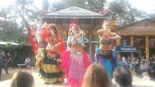 Belly Dancers Agora Theatre Texas RenFest 20111125