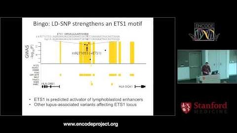 HaploReg - Wouter Meuleman