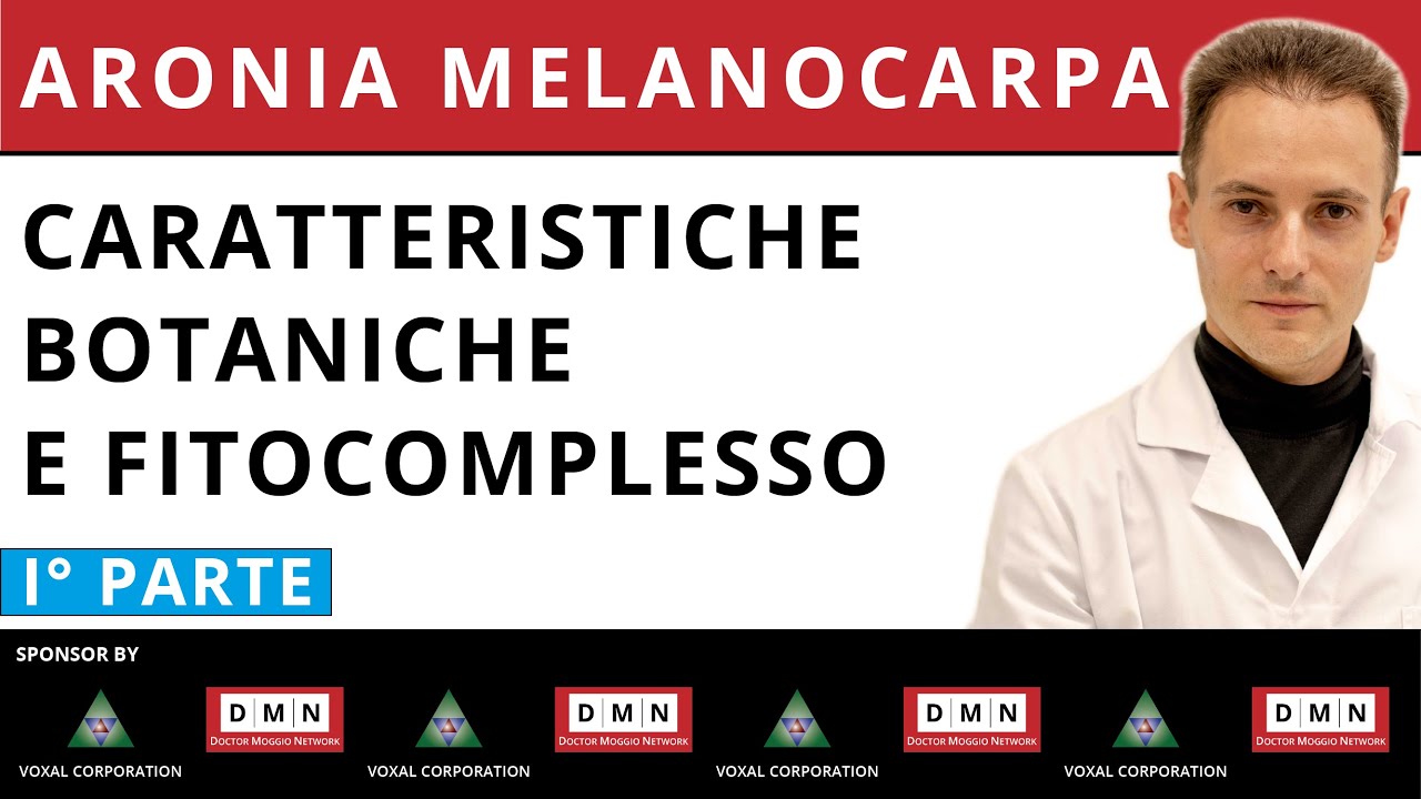 Aronia Melanocarpa: Botanica, Fitocomplesso e Proprietà Scientifiche della “Bacca di Aronia”