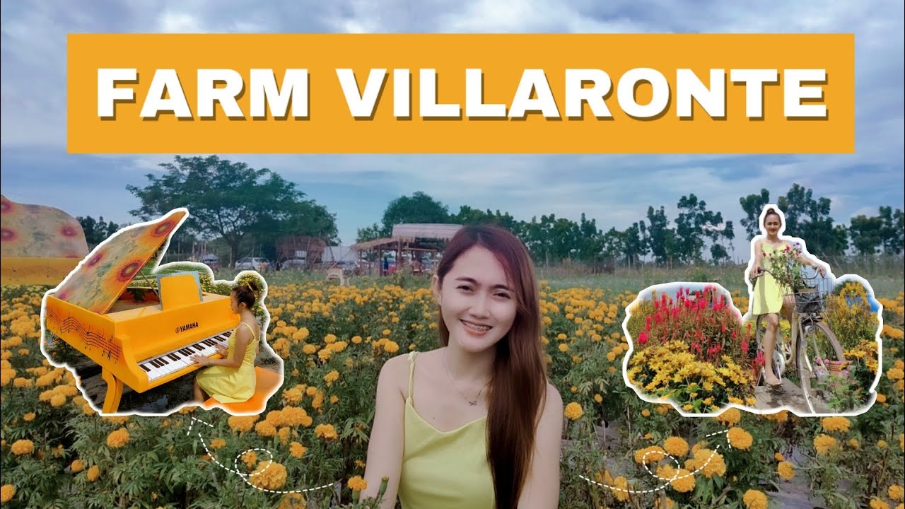 FARM VILLARONTE, SAN ANTONIO NUEVA ECIJA FLOWER FARM YouTube