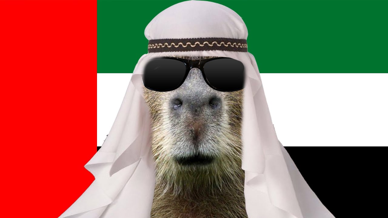 Arabic Capybara YouTube