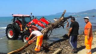 Pulizia spiaggia Marina di Grosseto 27/08/2015