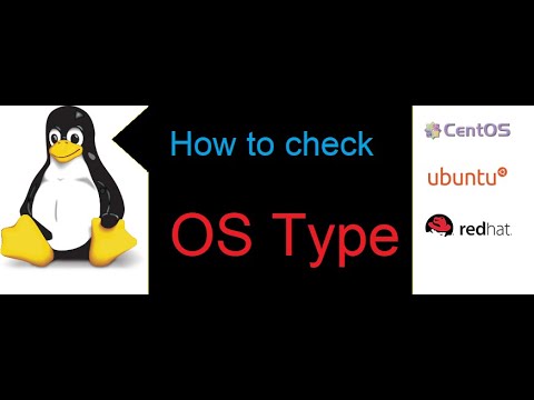 Discover the Simple Trick That Reveals Your OS Type In Seconds!