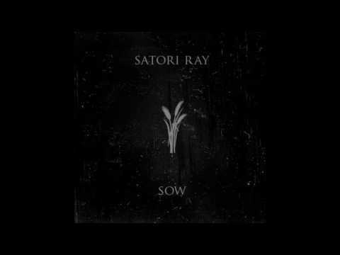 Satori Ray — Satori Ray - Withdrawn Into Dusk