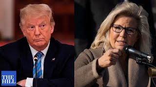 'Bring it.' Cheney responds to Trump endorsing her House challenger