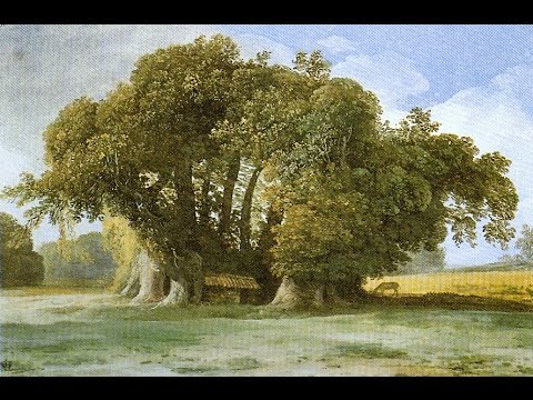 Video: 7 Trees That Are More Than 2,000 Years Old - Alternative View