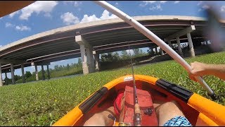 First Time On The Kayak! Aruba 10 Sundolphin