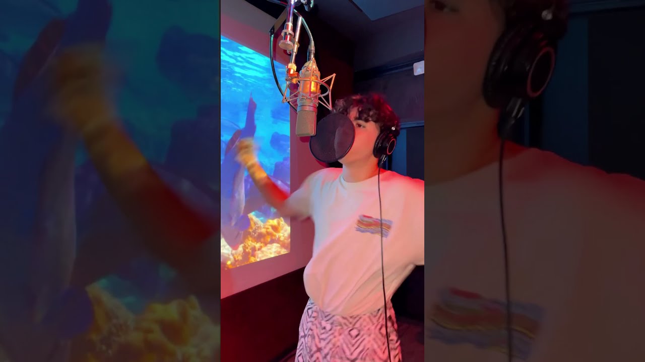 When The Voice Doesn T Match Rapper 