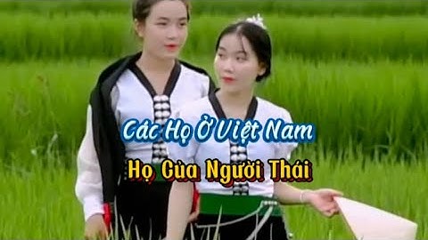 Các Họ ở VN: người Thái, Đỗ - Đậu, Hoàng - Huỳnh, người Chăm, Trương, Bru Vân Kiều (tổng hợp phần 2)