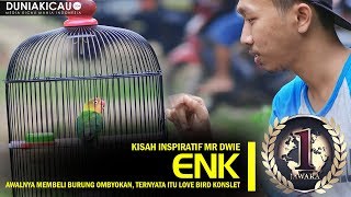 Download Lagu INSPIRATIF!! Awalnya Membeli Ombyokan, Ternyata Itu Love Bird KONSLET!!! MP3