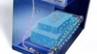 9- Anprolene sterilization: aeration cycle.wmv