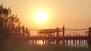 LIVE VIDEO ALERT WAKE AND BAKE STYLE