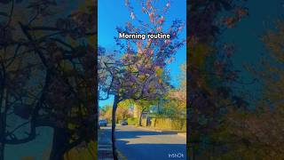 Morning routine #shortvideo #viralshort #pakistanifamily #youtubeshorts #ukvlog