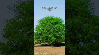 infinix note 50x 5G editing @InfinixMobileNo1 #infinix #edit #trending #viral #shorts #love