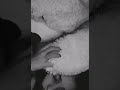 فيديو حزين جدا جاهز للتصميم بدون حقوق مقاطع تيك توك حزينه ستوريات انستا حزينة منشوراتي