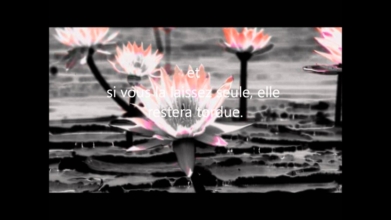 Le taux de divorce élevé dans la oumma - cheikh al Fawzan