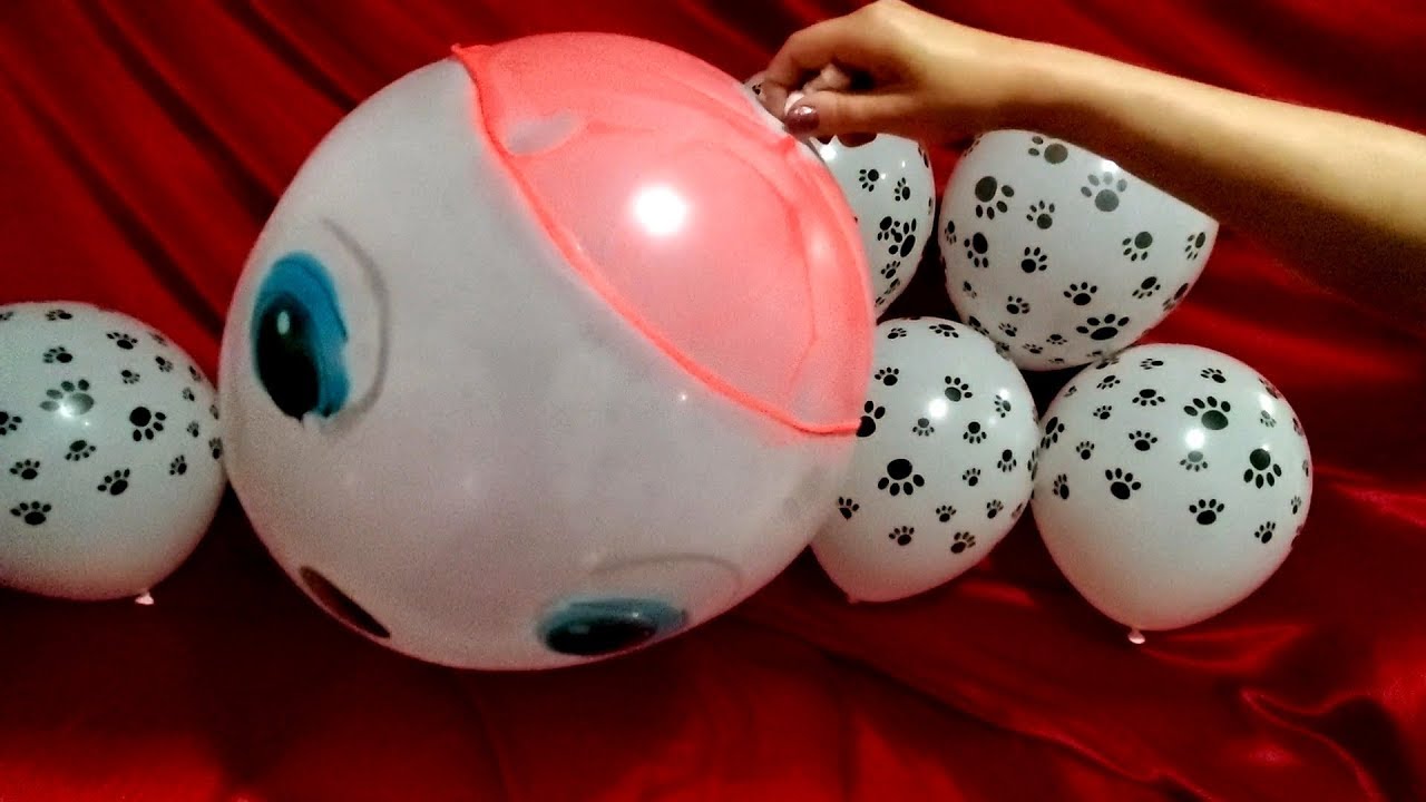 PAW PATROL MARSHALL BOP BALL AND PAW PRINTED BALLOONS POP!!!! YouTube