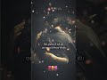 सिर्फ मोहब्बत ही नहीं मुझे एक ख़ाहिस है #trending #viral viral short#shorts