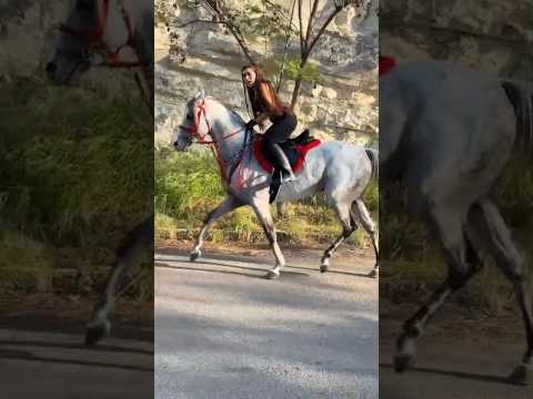 horse beautiful riding #rider #running #run