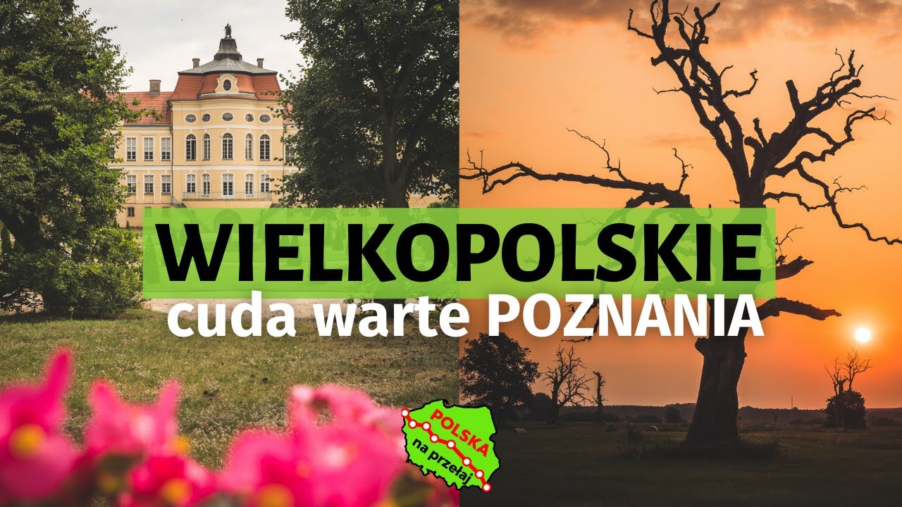 Oto WIELKOPOLSKA, która zaskakuje 🌳 PO bliższym Poznaniu / Polska Na Przełaj s02e05
