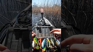 Lydekų žvejyba iš Savage Gear kajako #zvejyba #fishing #2kg #lydeka