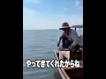 【神回】TikTokにアフレコしてツッコんでみたらヤバかったwwwwwwwwwwww【第1570弾】 #shorts #ボケとツッコミ #爆笑 #tiktok #ツッコミ