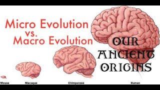The Evidence for God, Microevolution vs. Macroevolution, Our Ancient Origins, Episode 2