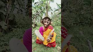 Xcon Chó Tài Năng Được Nhận Nuôi - Talented Dogadopted