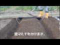 [農業]スナックエンドウ種まき