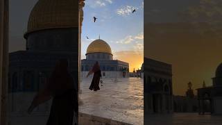 Mescidi Aksa'da Huzur #shorts #viral #mescidiaksa #kudüs #keşfet #isimsizler