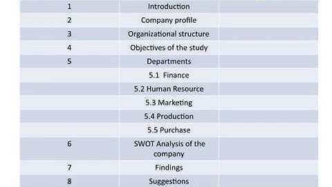 internship report for management bugs