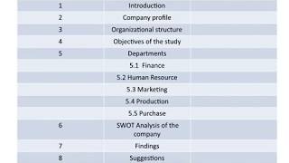 internship report for management bugs