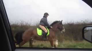 PADDY HACKING