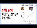 [비전공자 AI] 정보의 변환 과정에서 사용되는 "선형 관계" 한번에 정리하기!