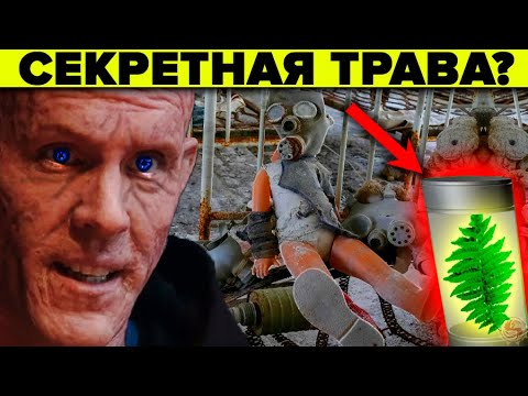 ТРАВА КОТОРАЯ ЛЕЧИТ 80 болезней! Секретные свойства папоротника