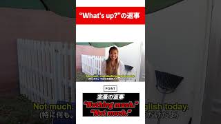 現地人で検証『What’s up?」の返答 #Shorts