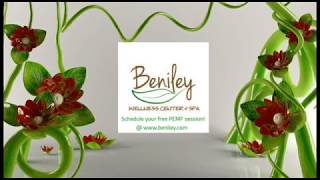 DVD Menu Intro