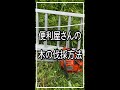 木を伐採する方法 ＃Shorts