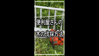 木を伐採する方法 ＃Shorts