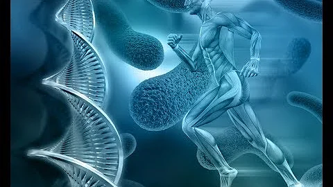 Qual o conceito de Bioenergética?
