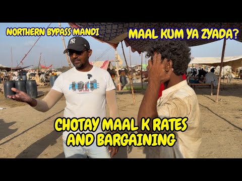 Chotay Maal K Rates and Bargaining Northern Bypass Mandi 2026
