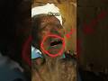 Firon Ki Lash Par Allah Ka Azaab By Mufti Tariq Masood Cryfull Firon Ki Lash Par Allah Ka Azaab By Mufti Tariq Masood Cryfull