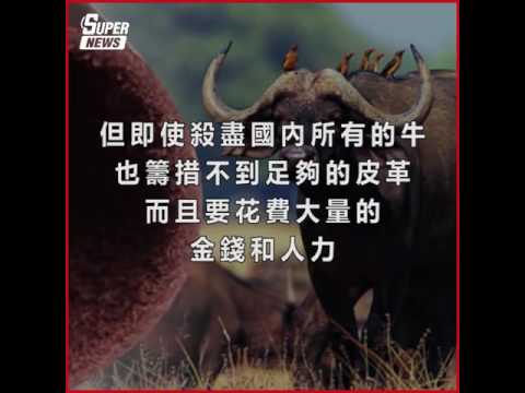 想改變別人很難，倒不如我們先學會改變自己