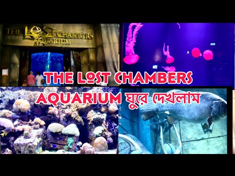 The Lost Chambers Aquarium আজ ঘুরে দেখলাম || Atlantis Dubai 2022