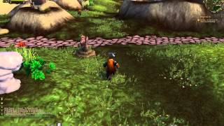 MoP Quest - Dafeng, the Spirit of Air.avi