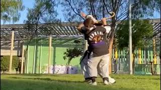 Hapkido cane self defense technique 🇨🇱