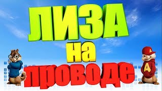 Video thumbnail of "Песня про ЛИЗУ (Бурундуки)"