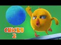 Onde está Chicky? | CHICKY'S MATCH | Desenhos Animados Infantil