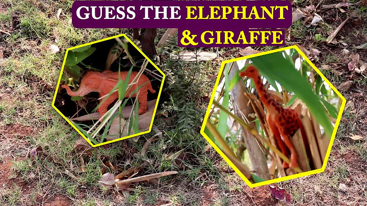 Find all the Hidden ELEPHANT & GIRAFFE Hidden Animals Optical Illusions Genius Brain Teasers Most